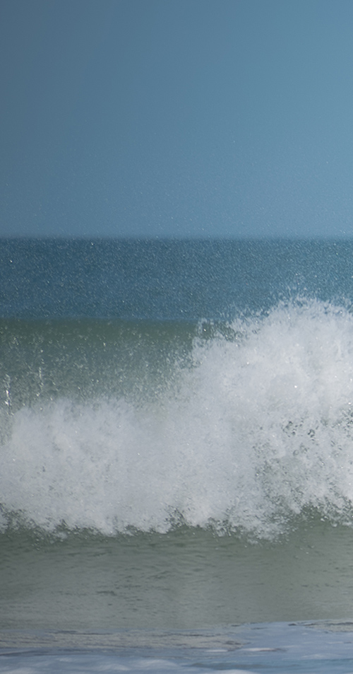 SURF